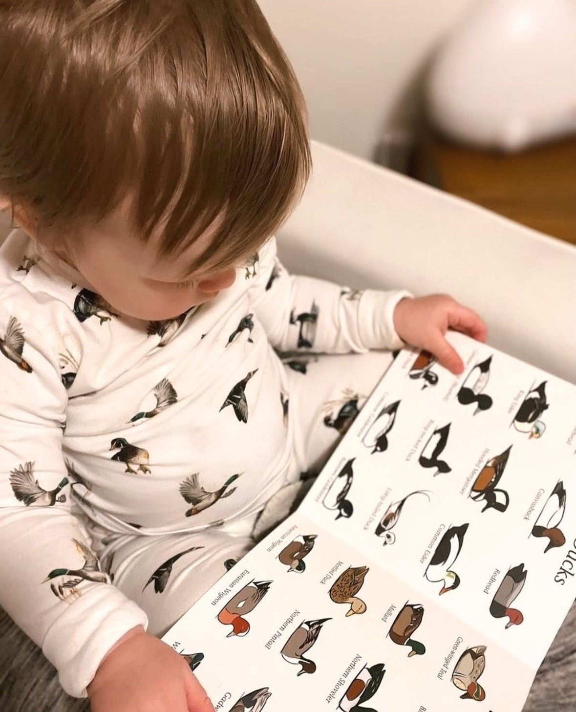 Mossy Oak Edition Duck Hunt Children's Book