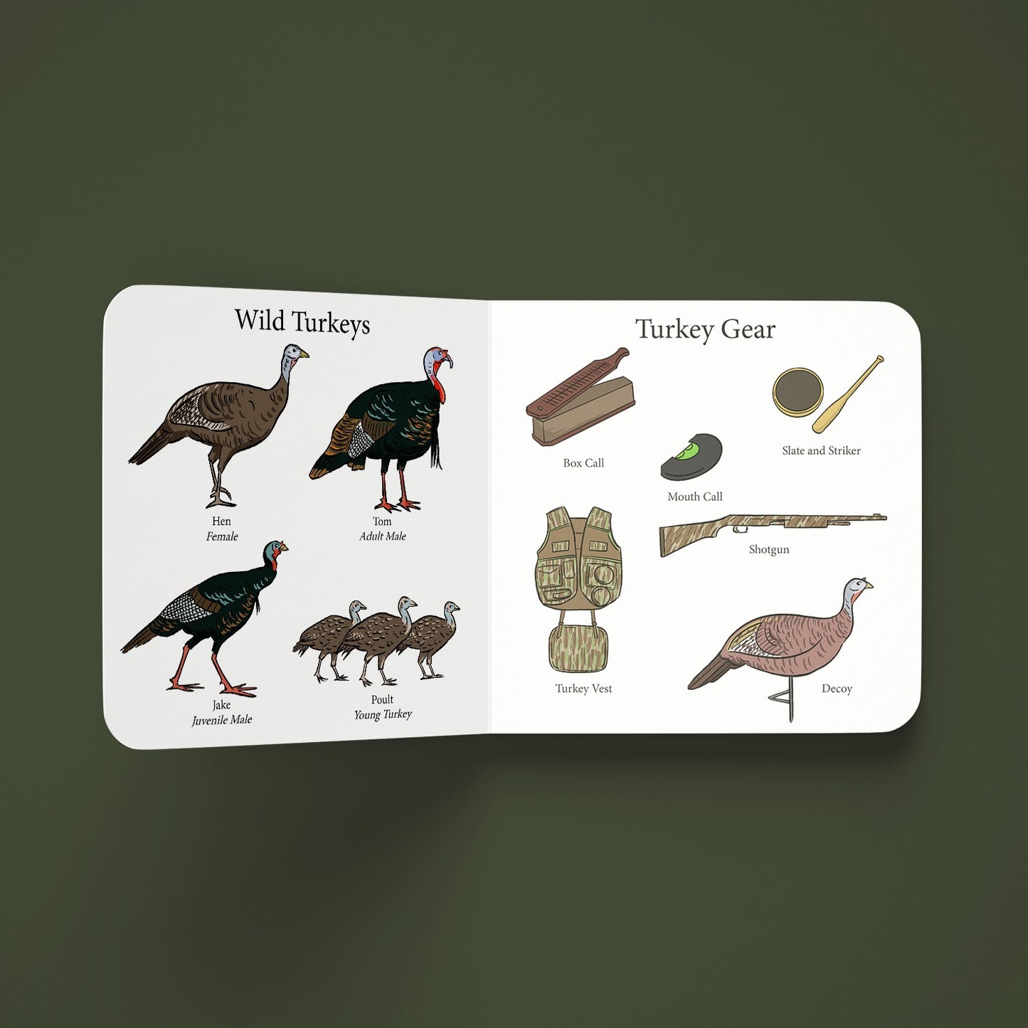 Turkey Season Children's Book