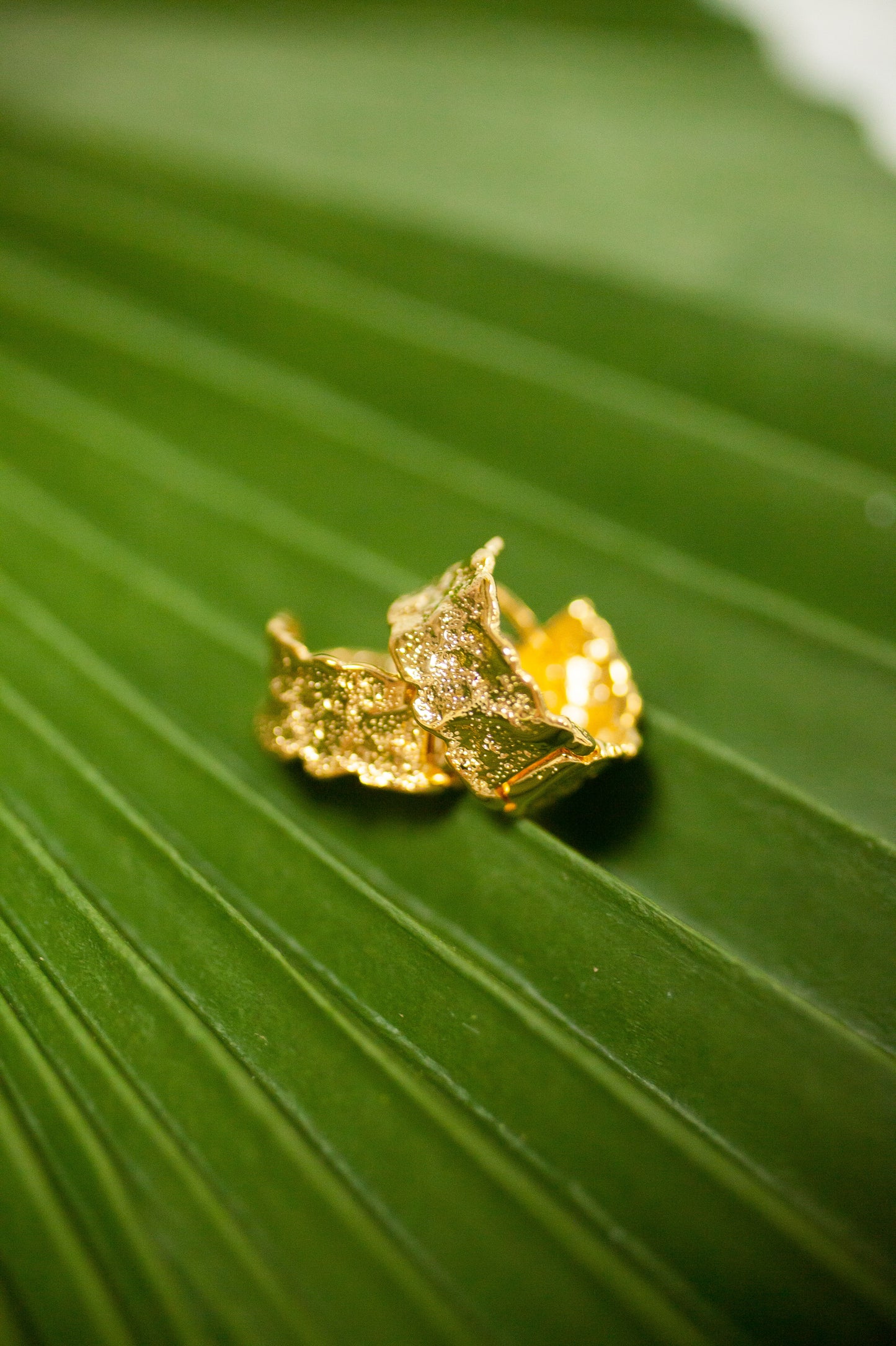 Theia Jewelry Taylor Round Hoop Earrings