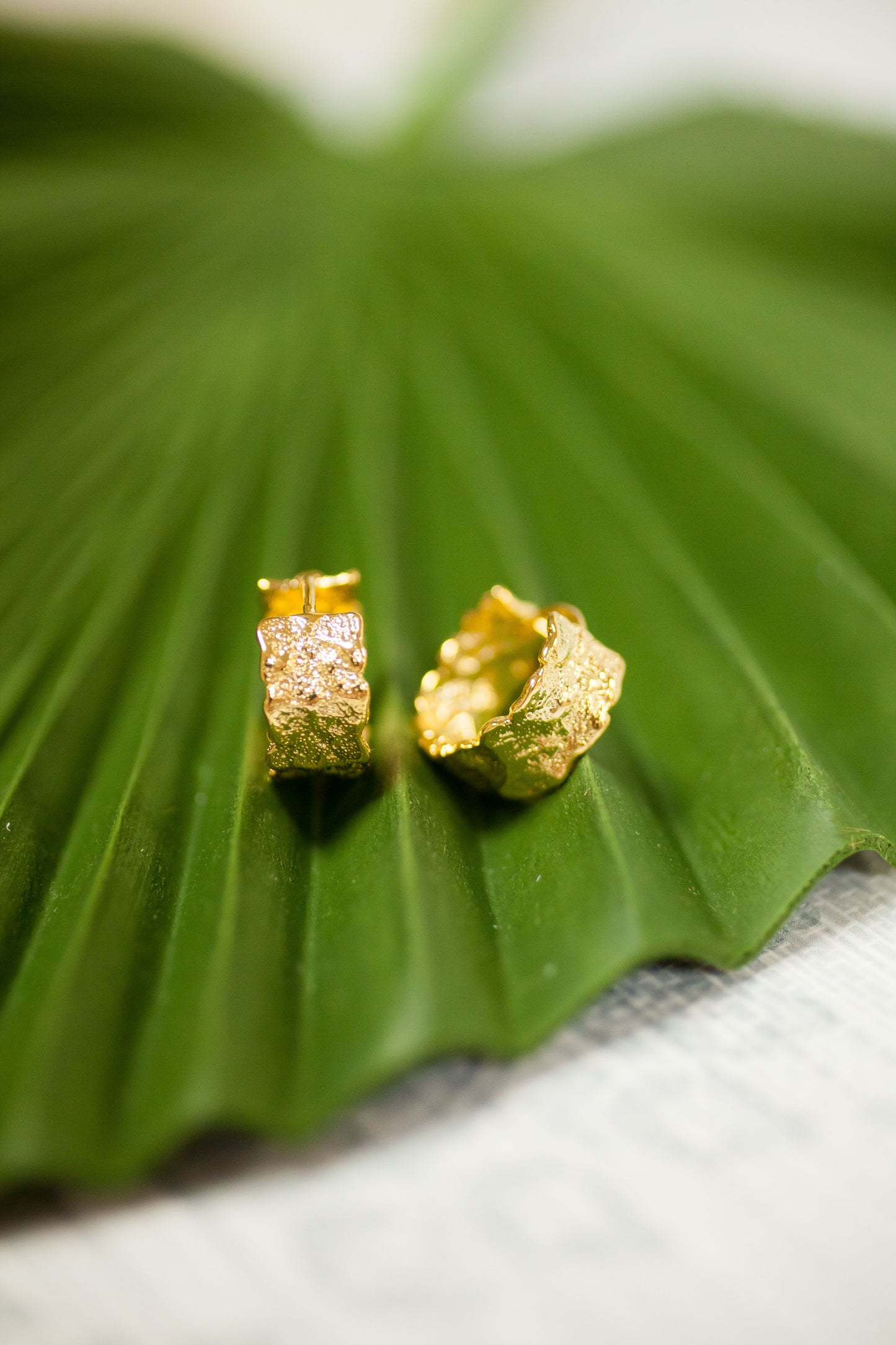 Theia Jewelry Taylor Round Hoop Earrings