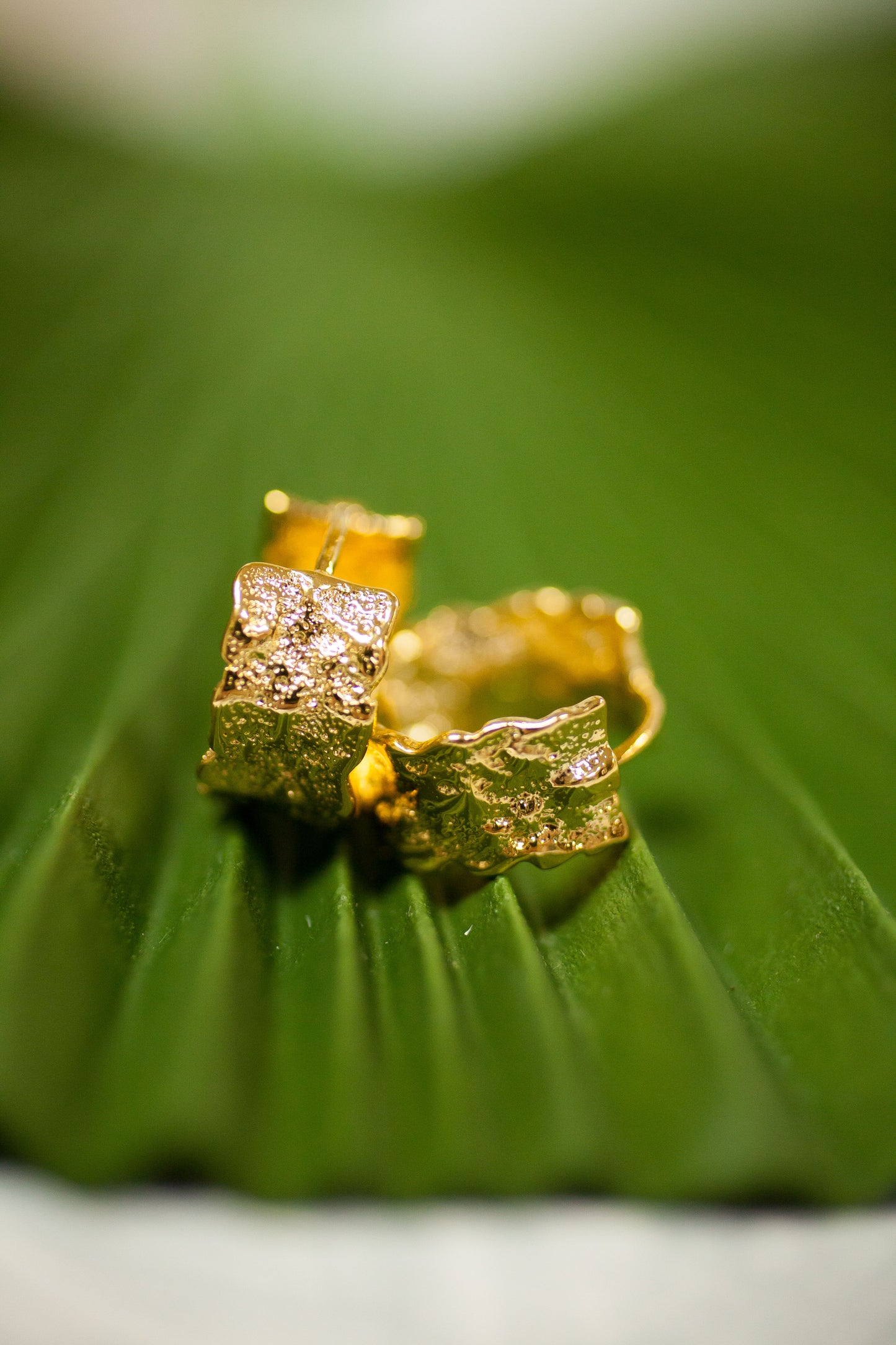 Theia Jewelry Taylor Round Hoop Earrings