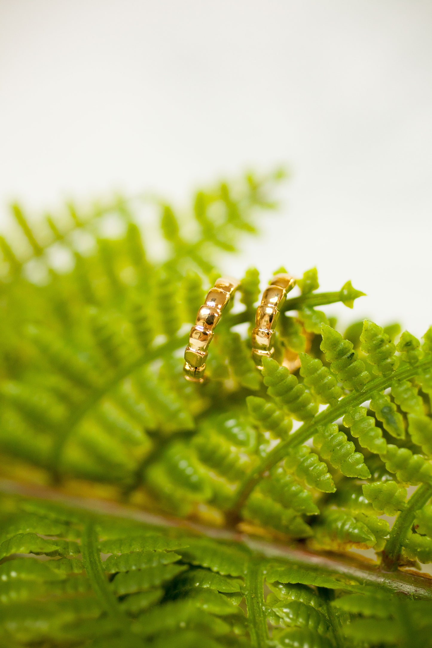 Theia Jewelry Emma Huggie Earrings